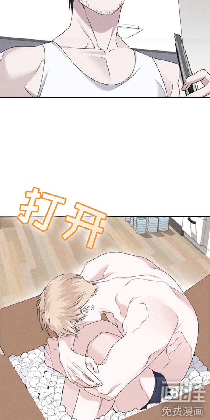 第1章：伴侣机器人