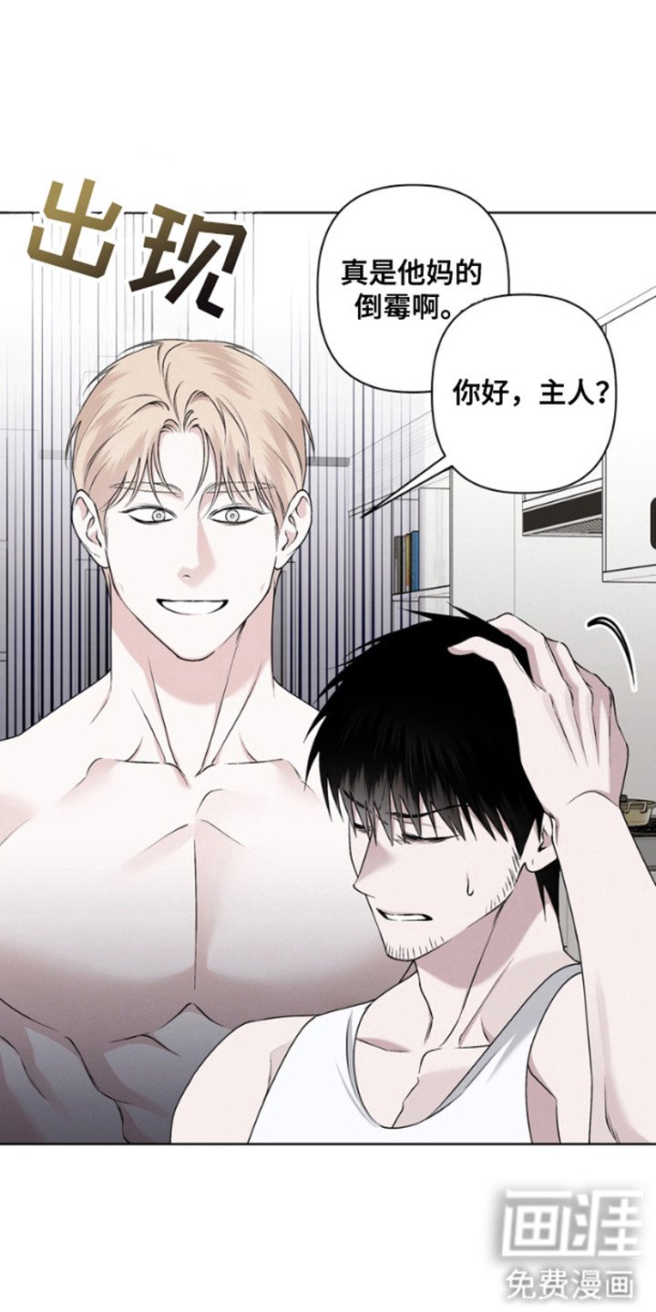 第1章：伴侣机器人