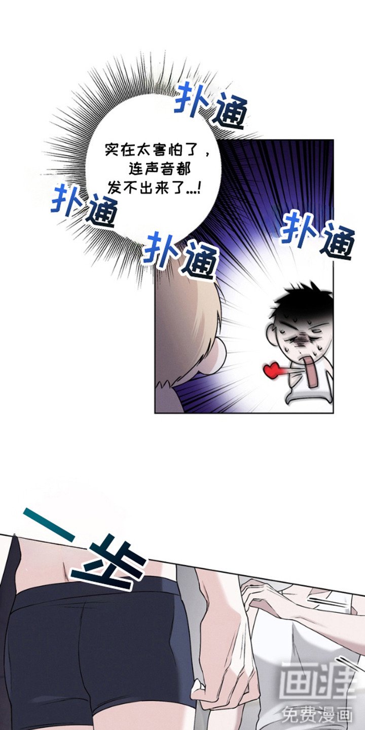 第1章：伴侣机器人