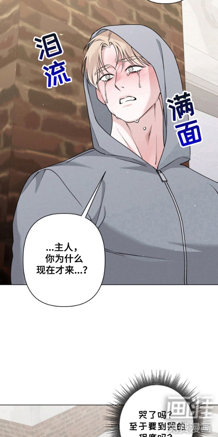 第10章：流泪