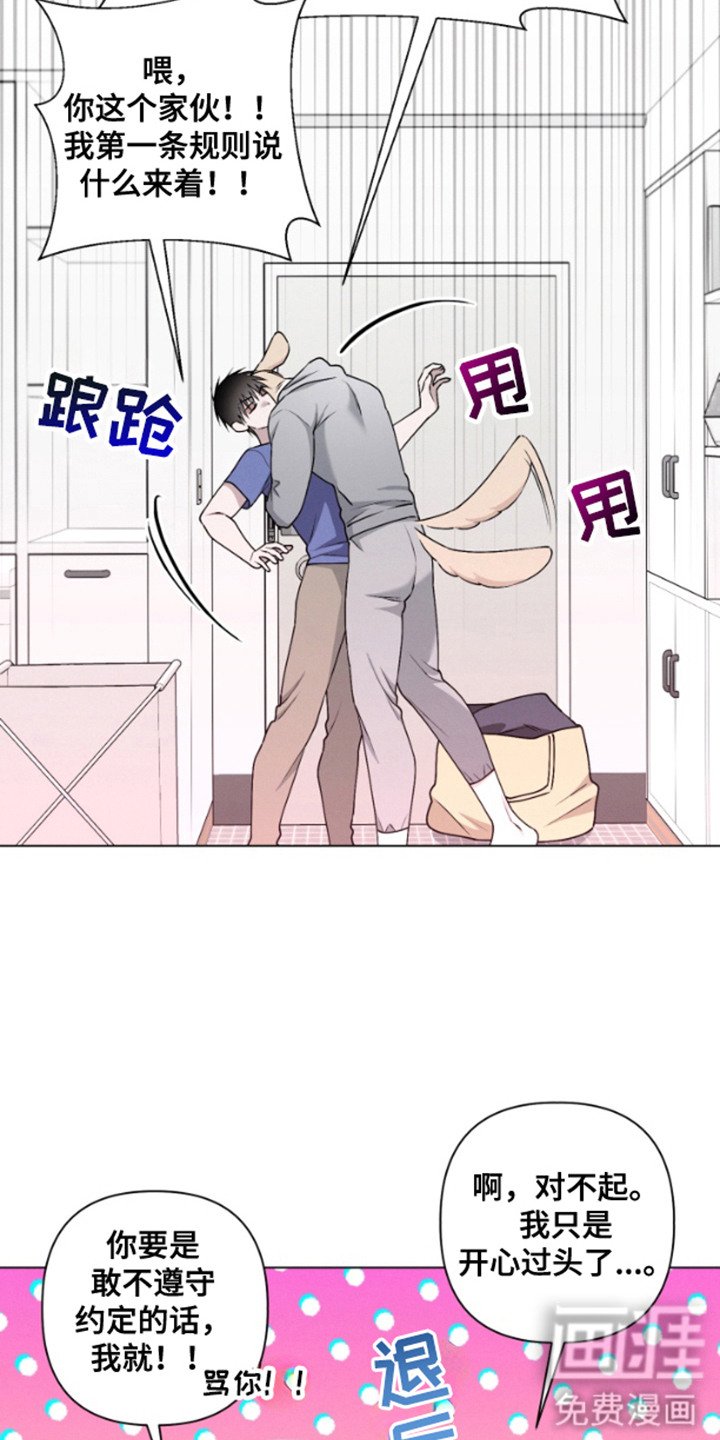 第11章：心跳声