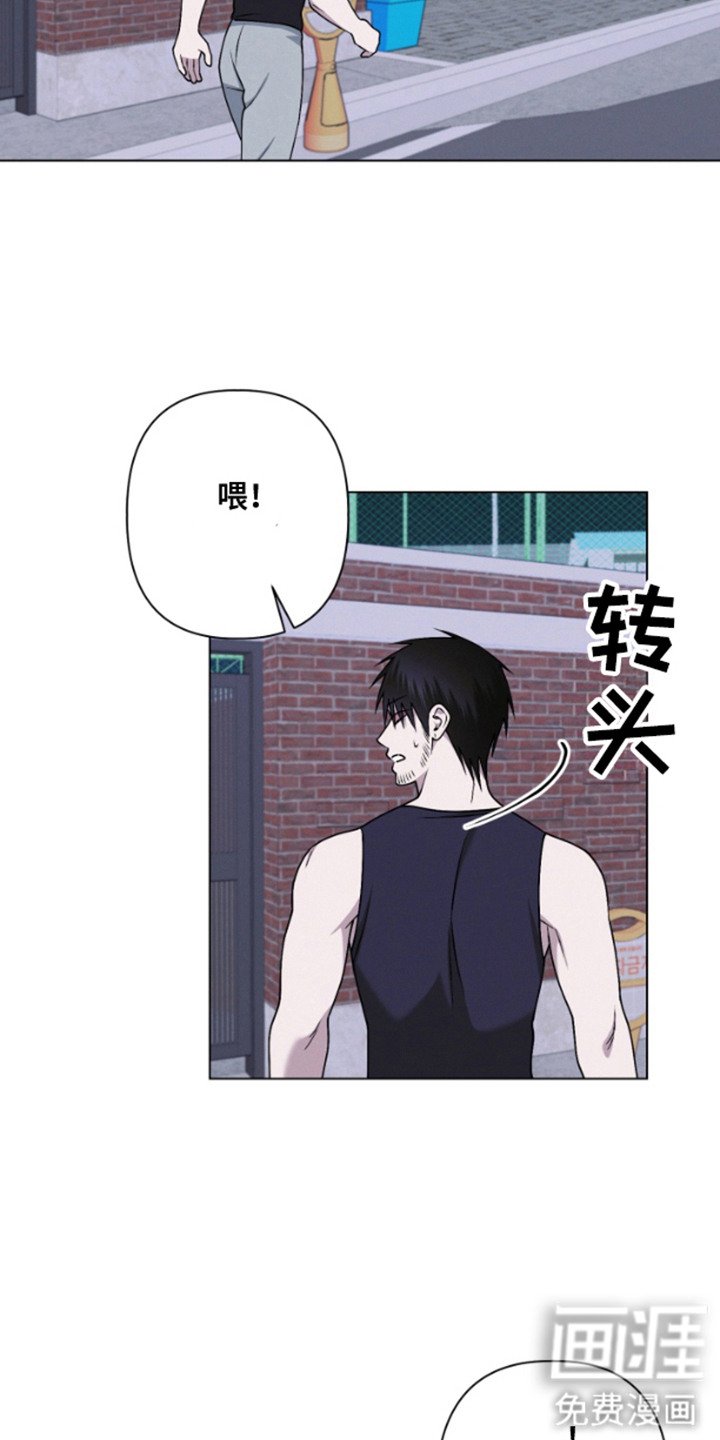 第14章：心脏