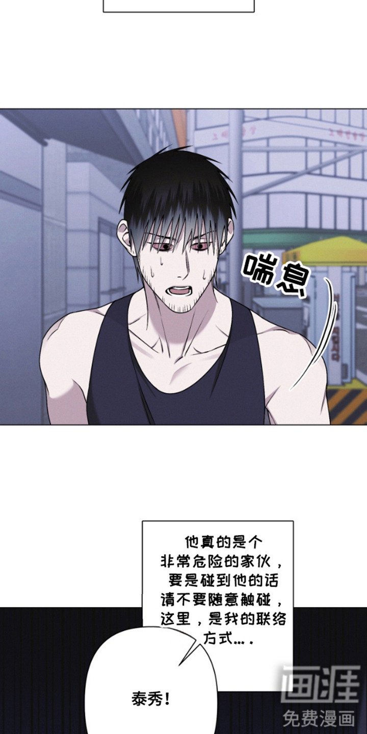 第14章：心脏