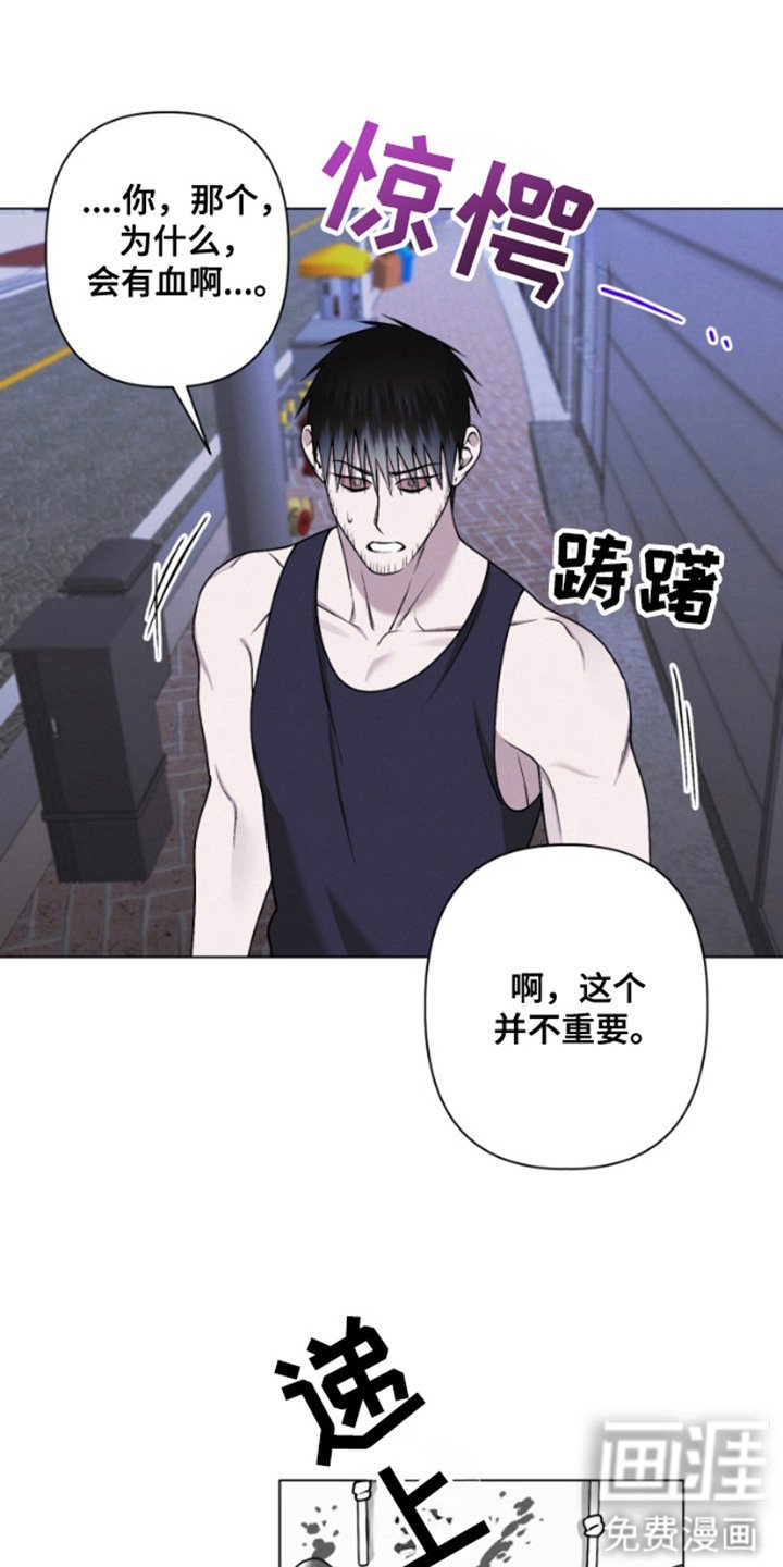 第14章：心脏