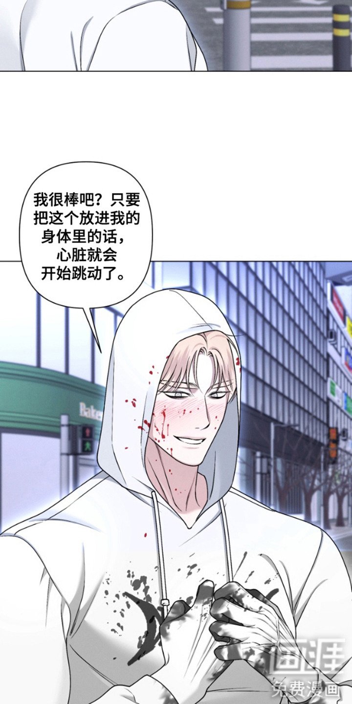 第14章：心脏
