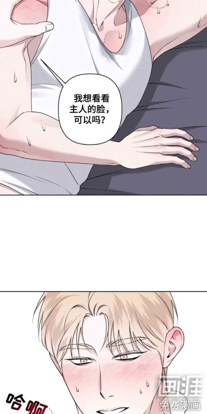 第2章：不管了
