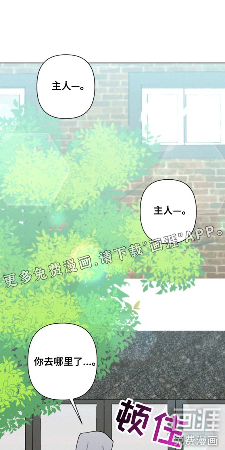 第9章：不见了
