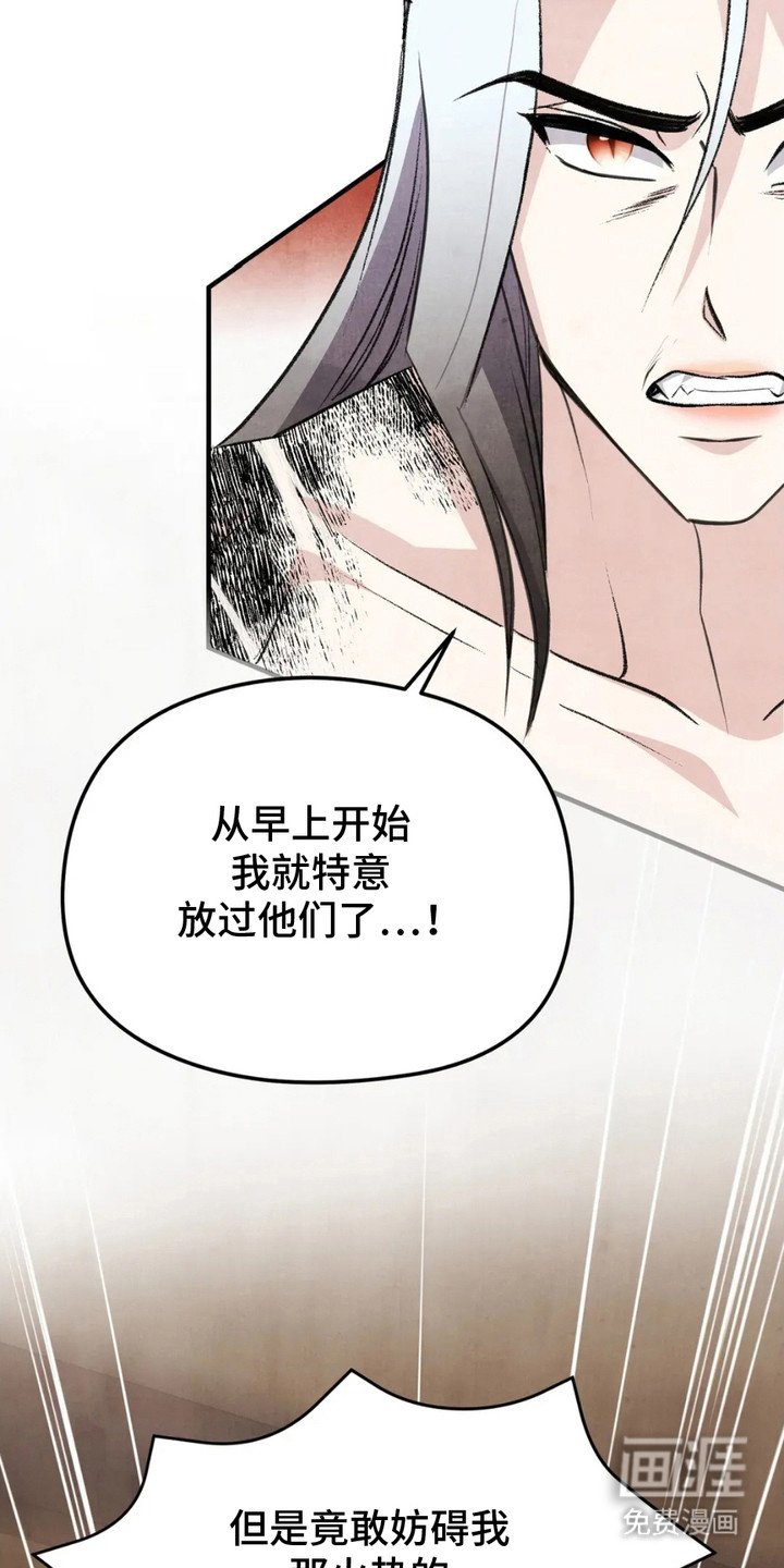 第11章：狐狸