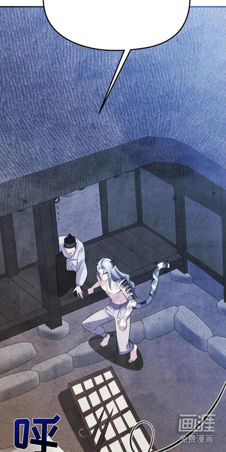 第11章：狐狸