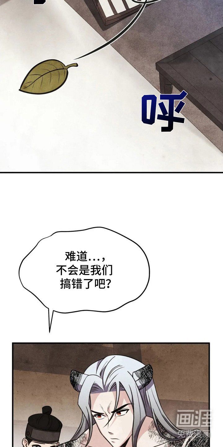 第11章：狐狸