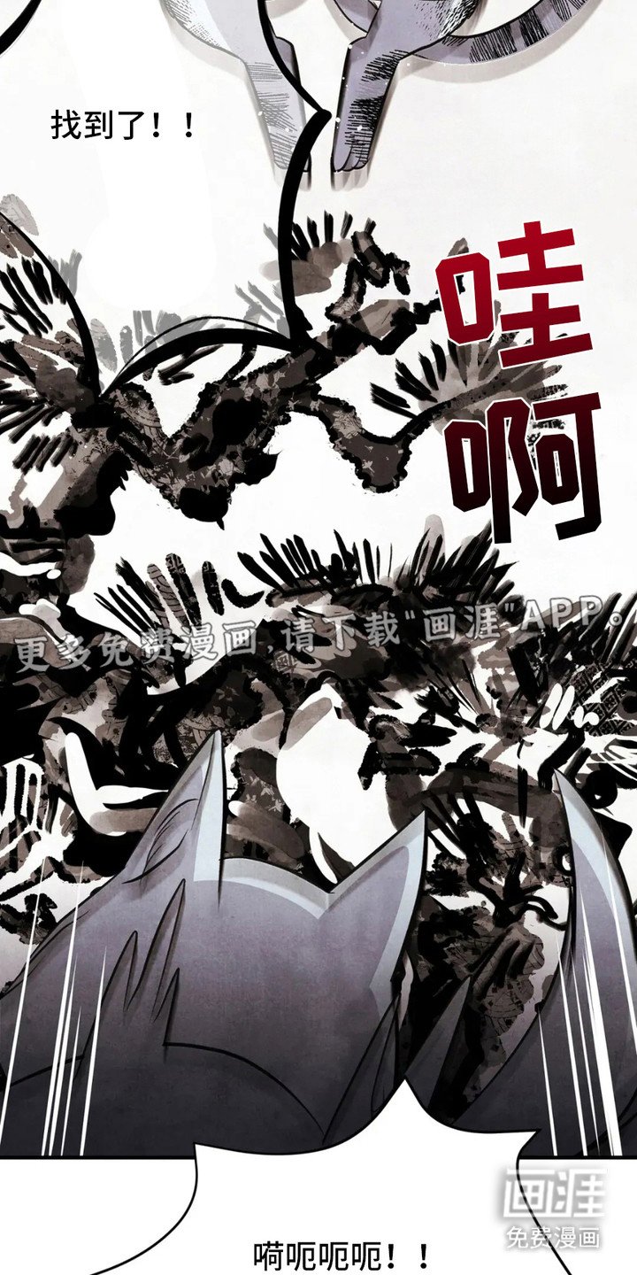 第11章：狐狸