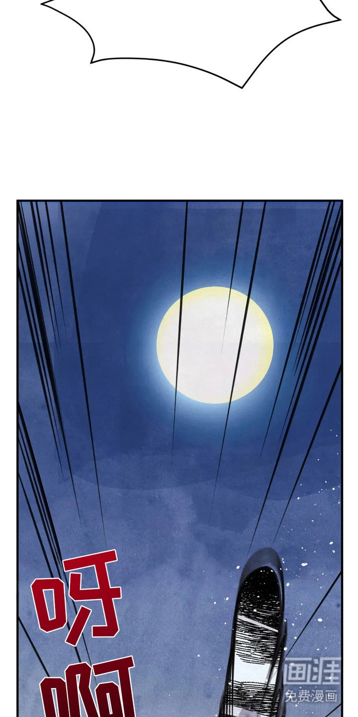 第11章：狐狸