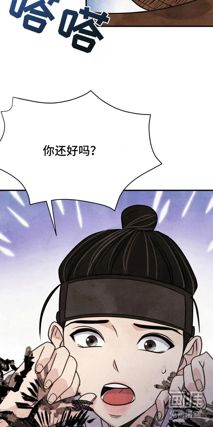 第11章：狐狸