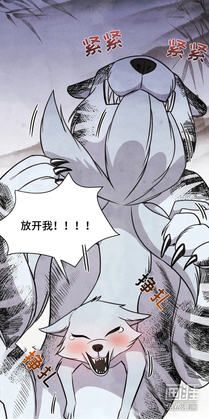 第11章：狐狸