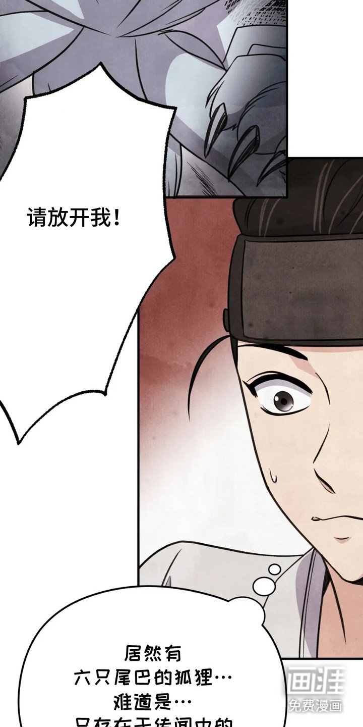 第11章：狐狸