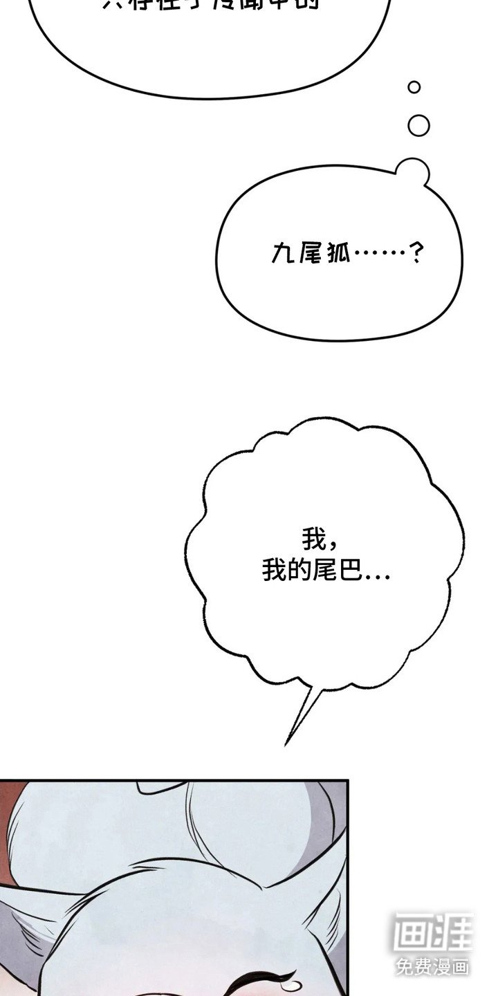 第11章：狐狸
