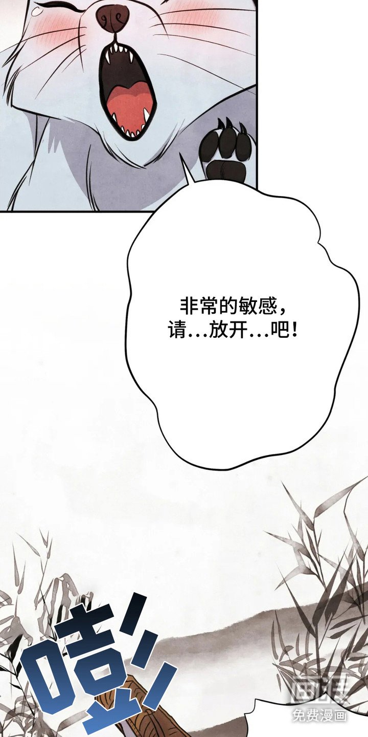 第11章：狐狸