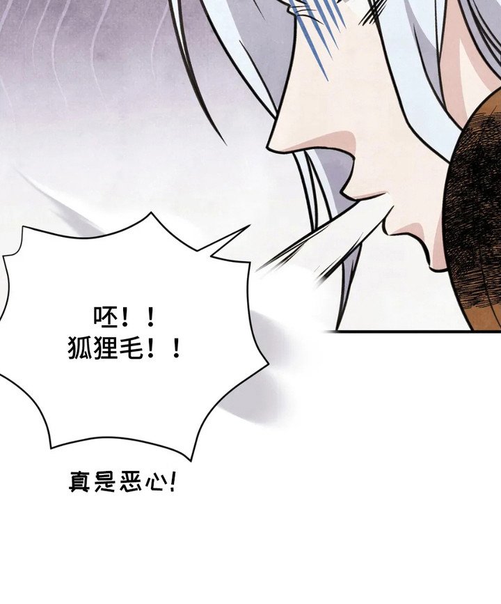 第11章：狐狸