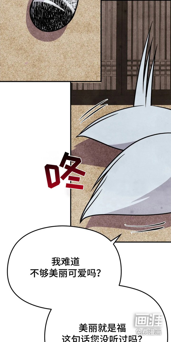 第16章：诱饵