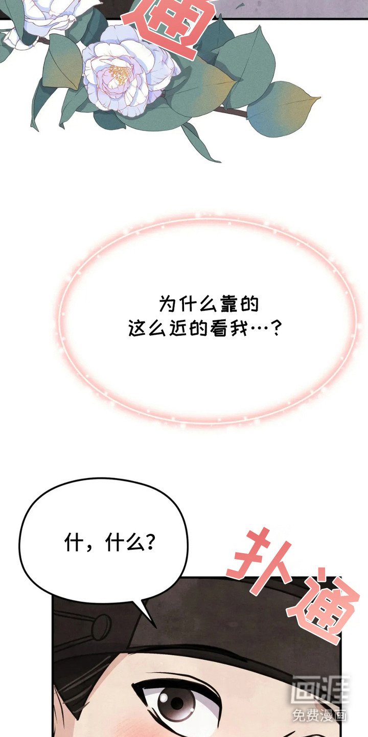 第16章：诱饵