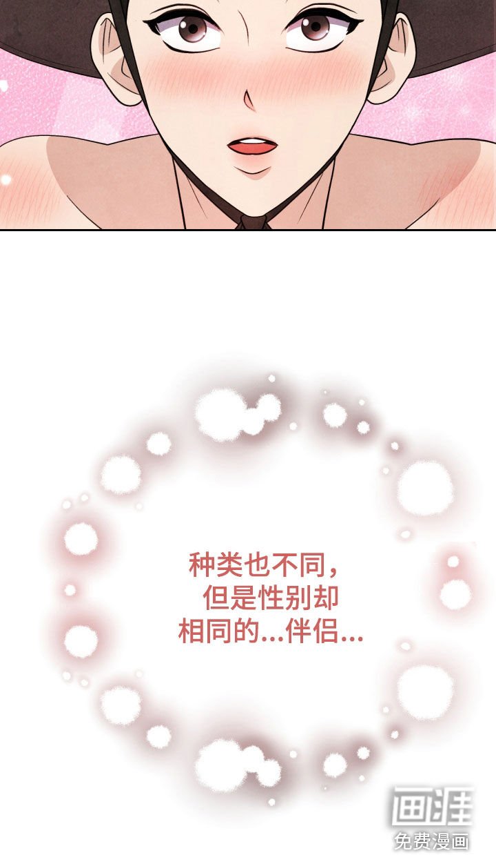 第19章：伴侣
