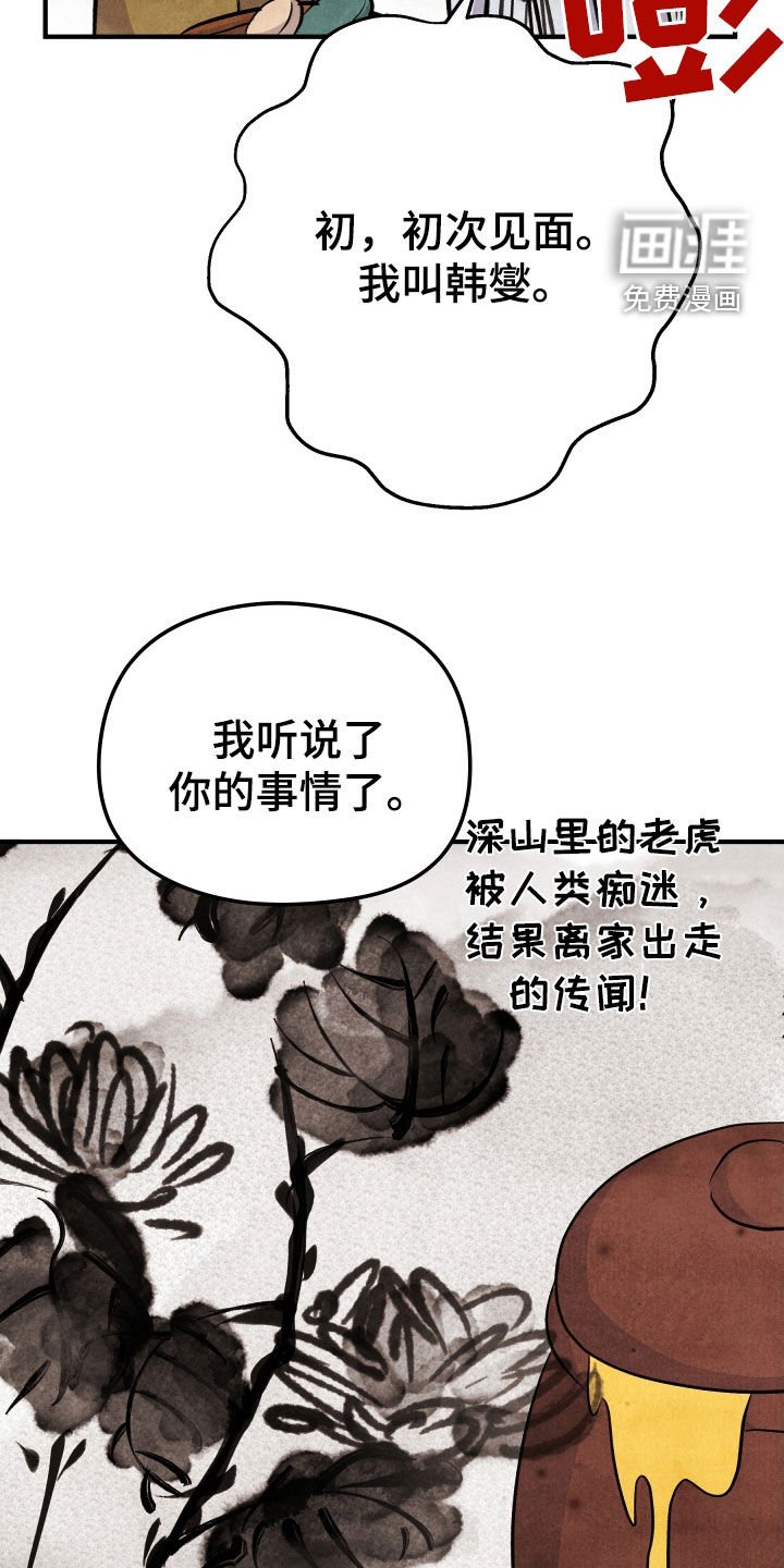 第27章：黑熊大哥