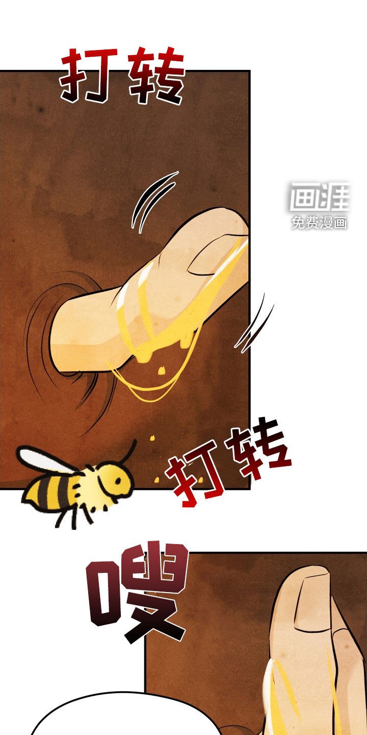 第28章：家族的秘密