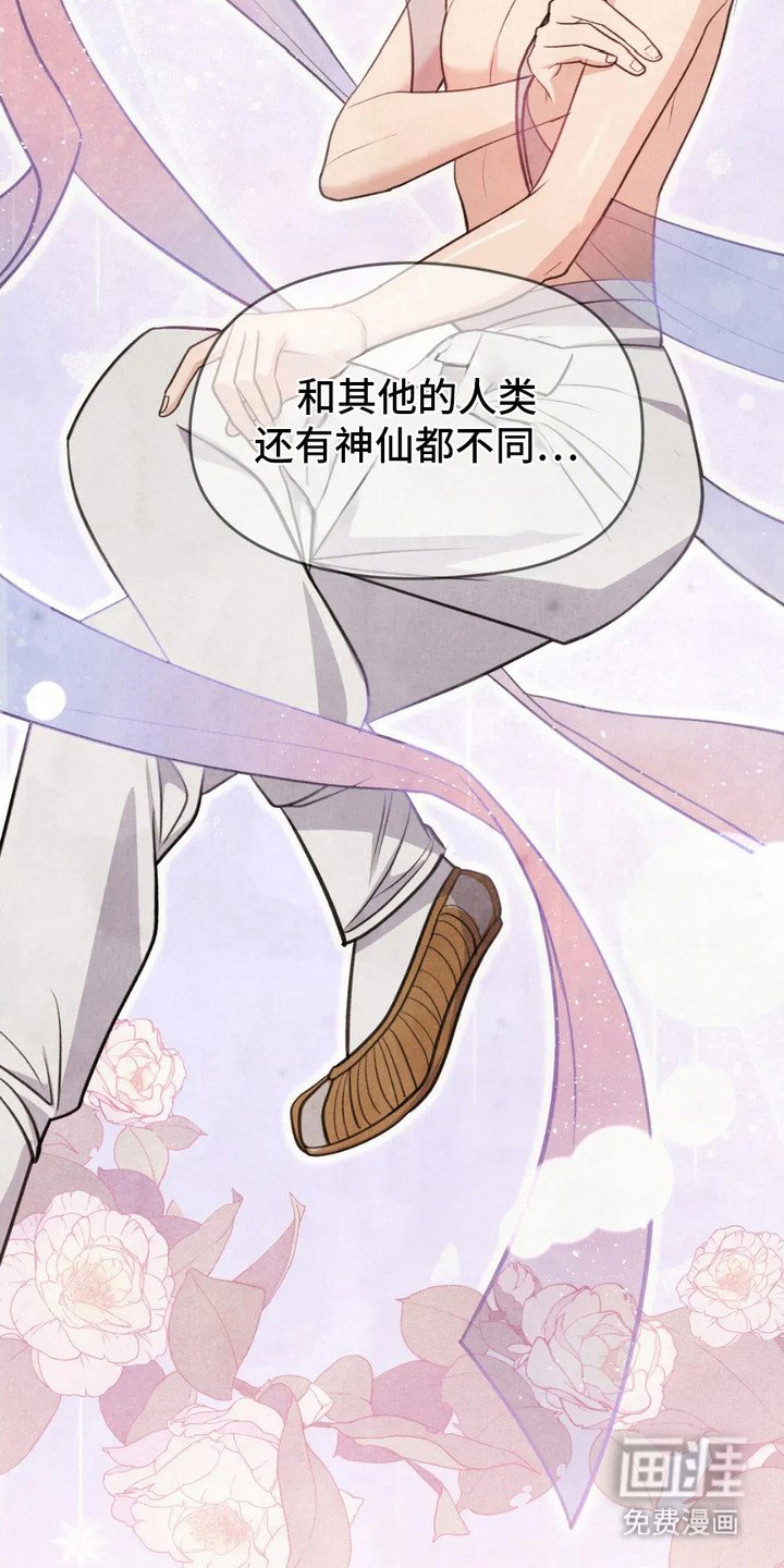 第5章：相思病