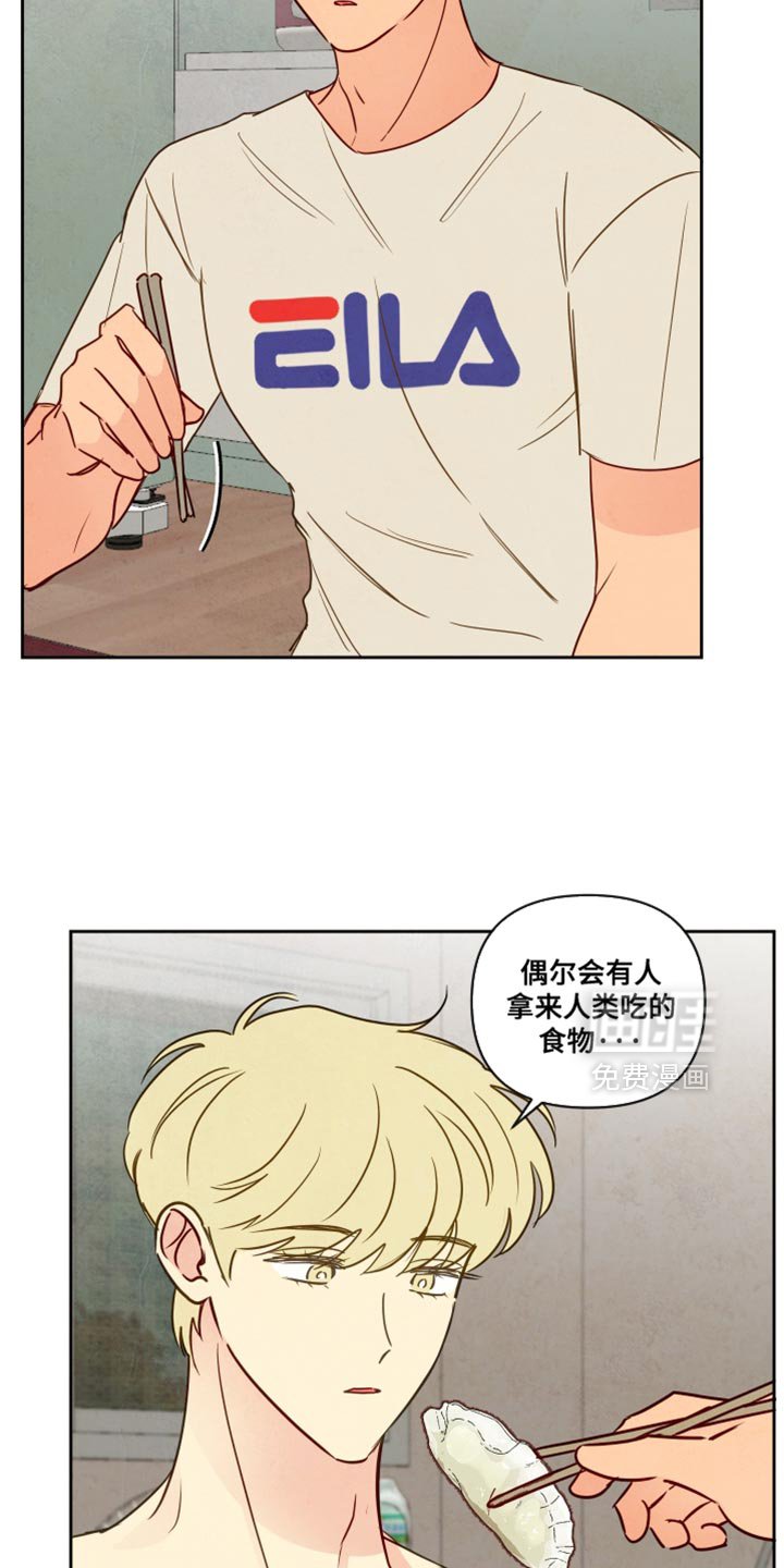 第12章：饺子