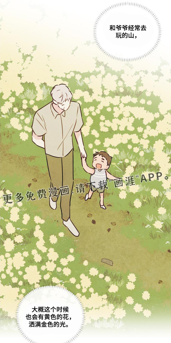 第12章：饺子