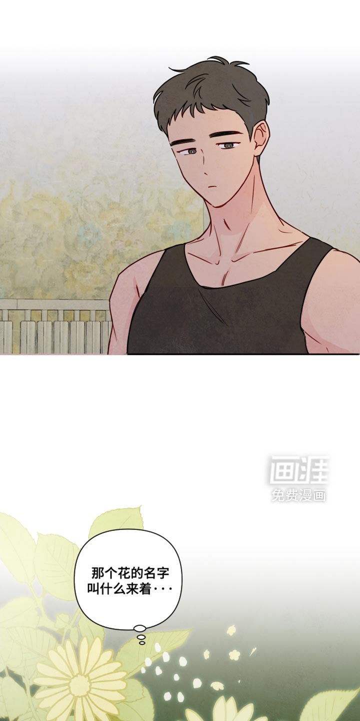 第13章：好久不见