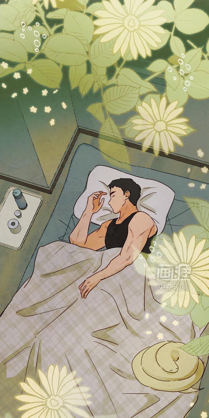 第13章：好久不见