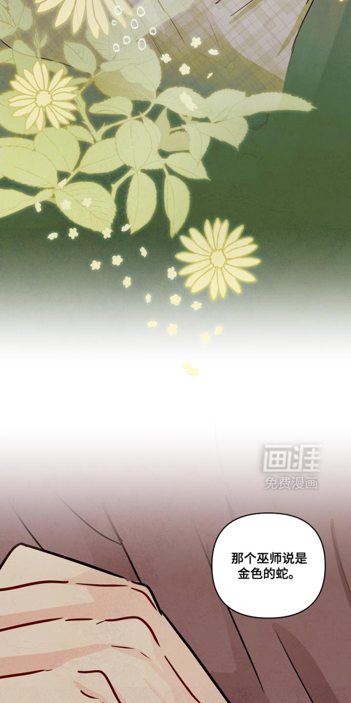 第13章：好久不见