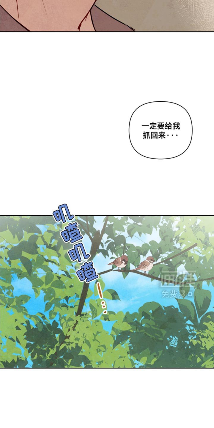 第13章：好久不见