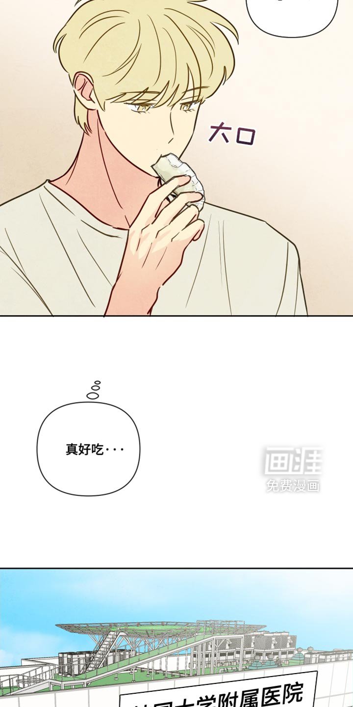 第13章：好久不见