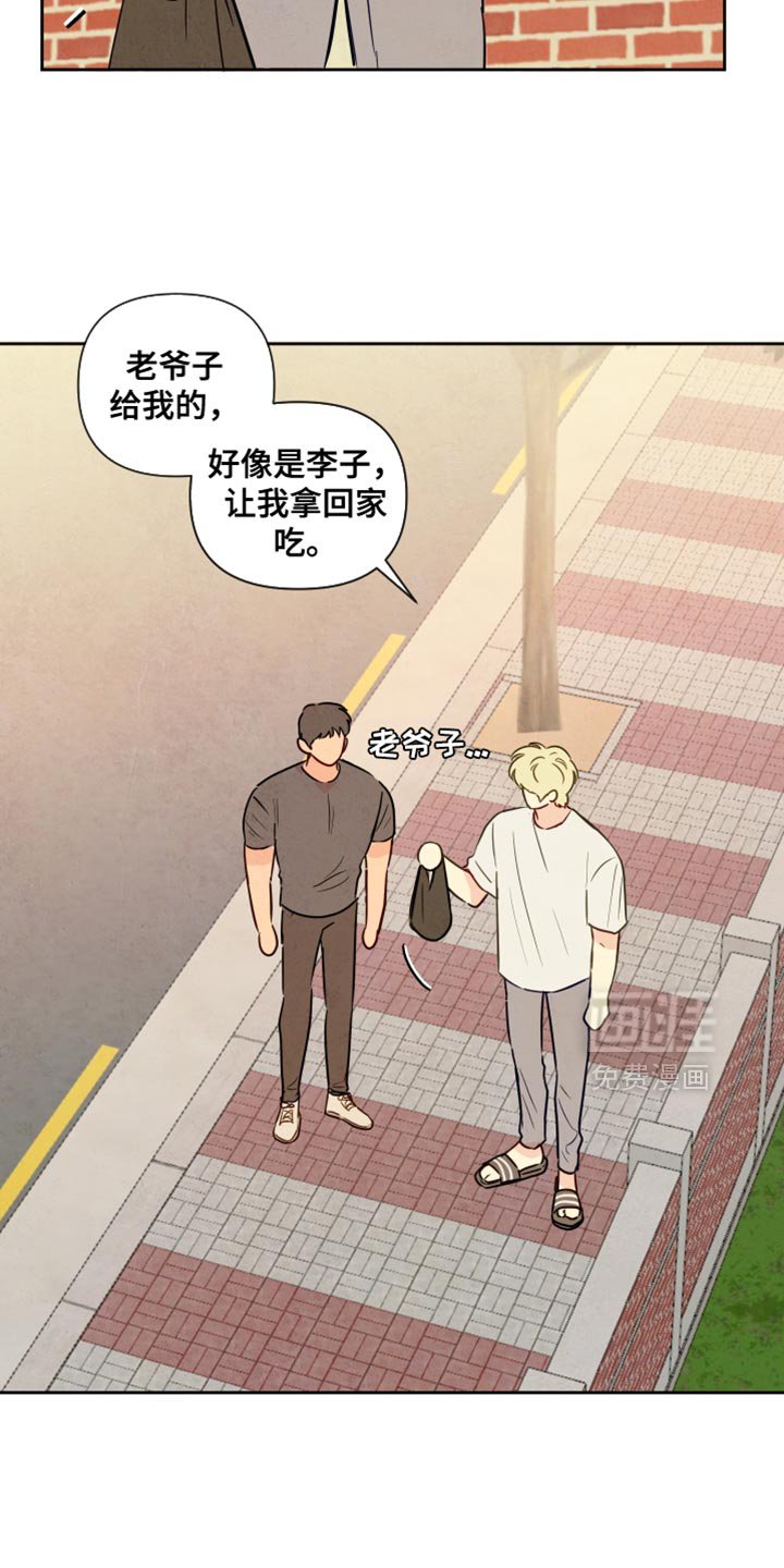 第16章：你们的手很像