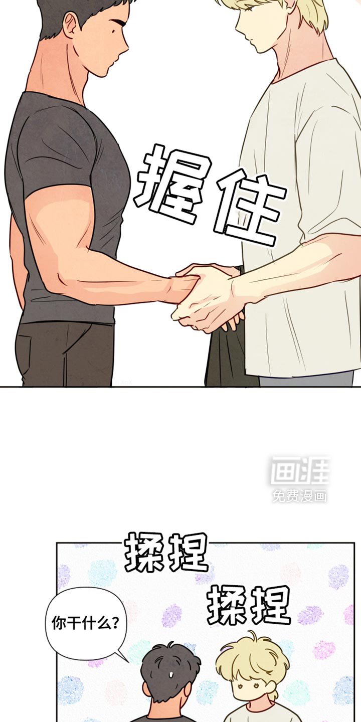 第16章：你们的手很像