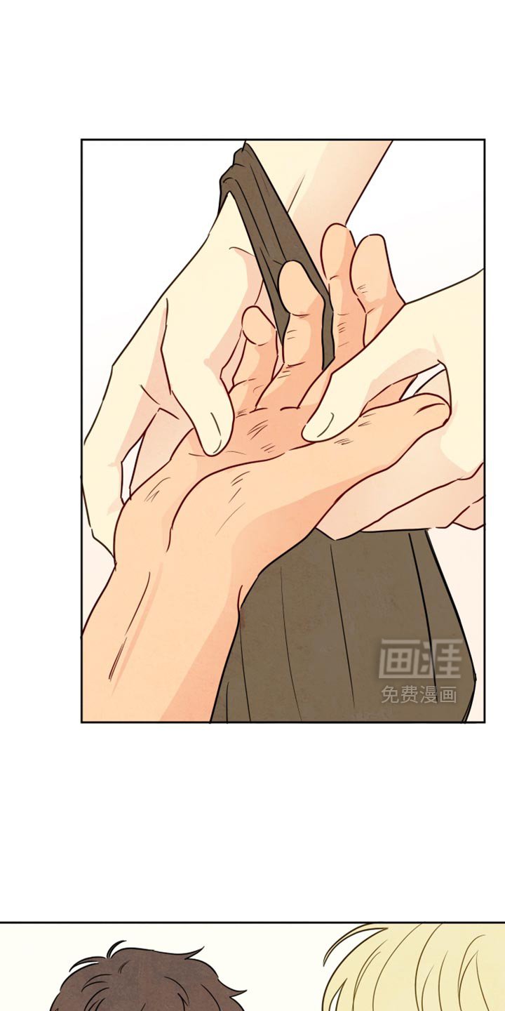 第16章：你们的手很像
