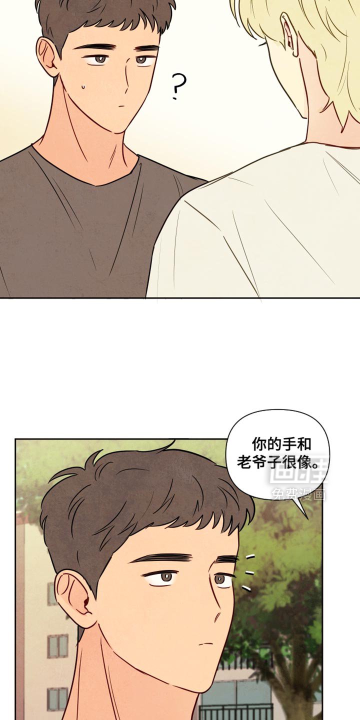 第16章：你们的手很像