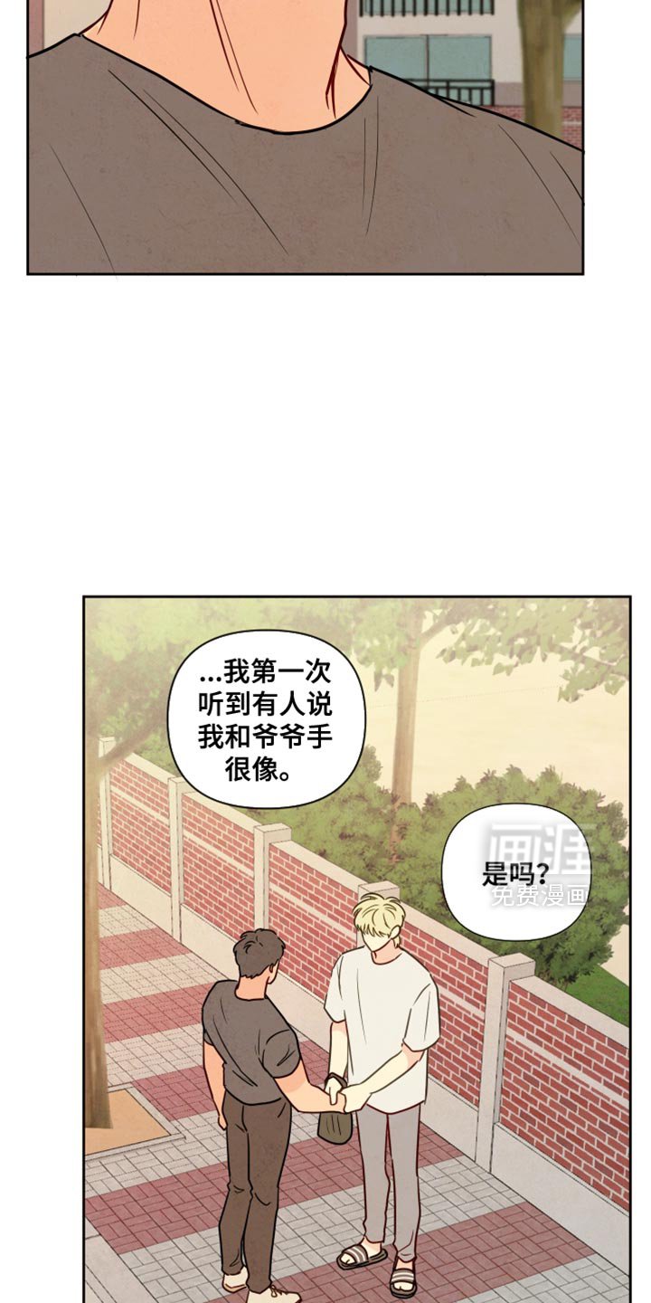 第16章：你们的手很像