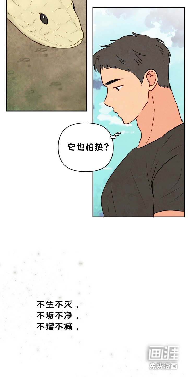 第2章：蛇