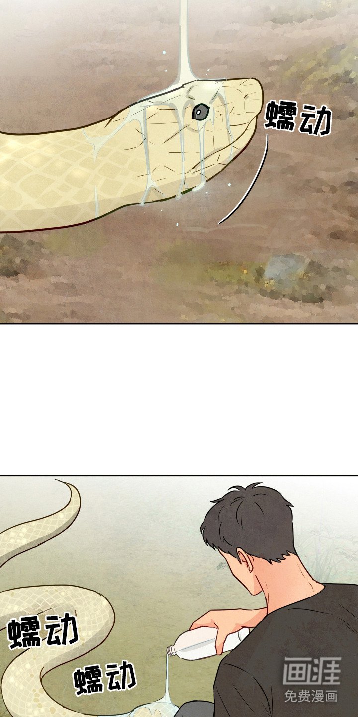 第2章：蛇