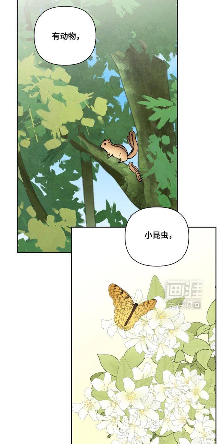 第23章：散散心