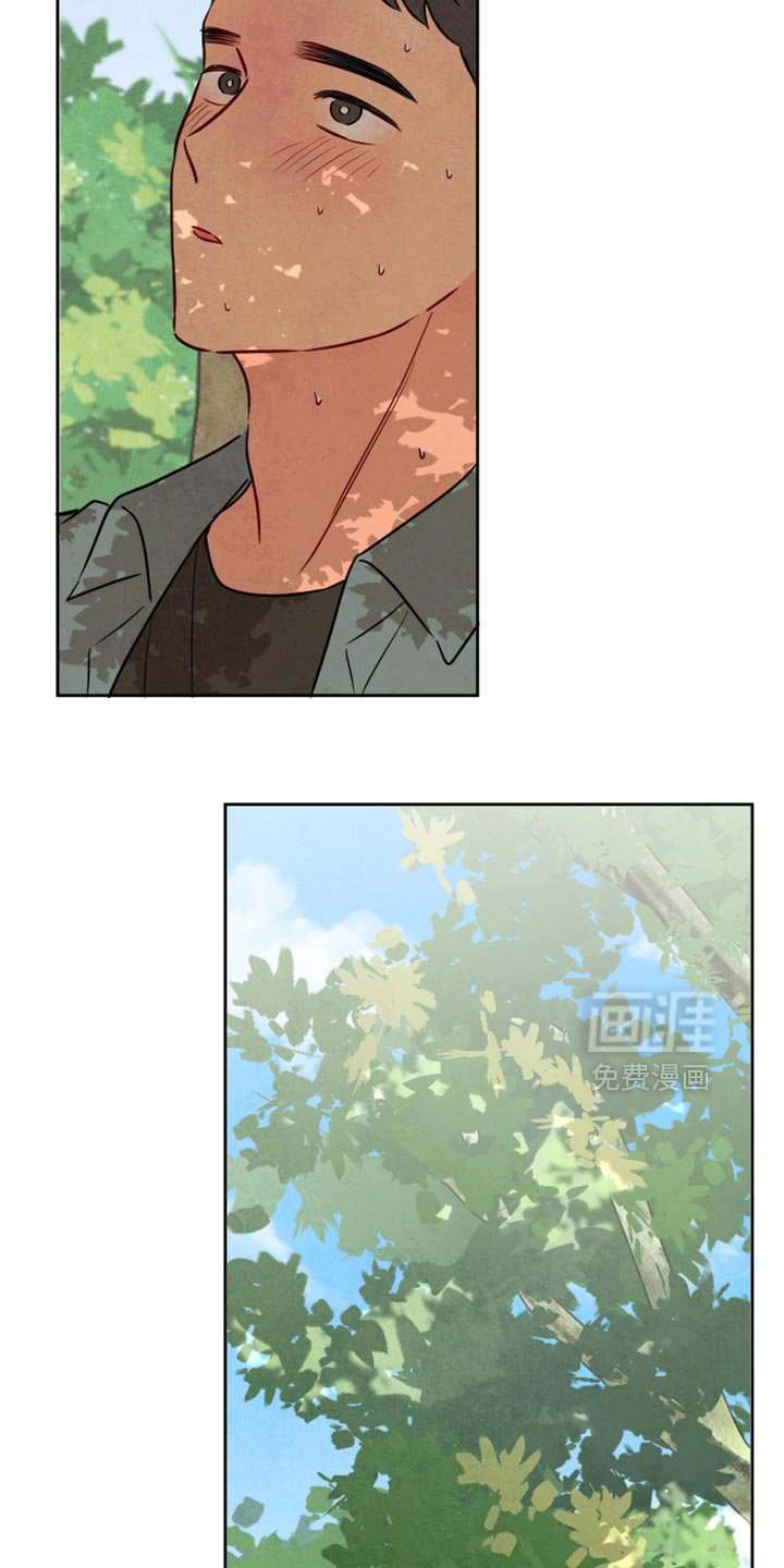 第24章：一起爬山