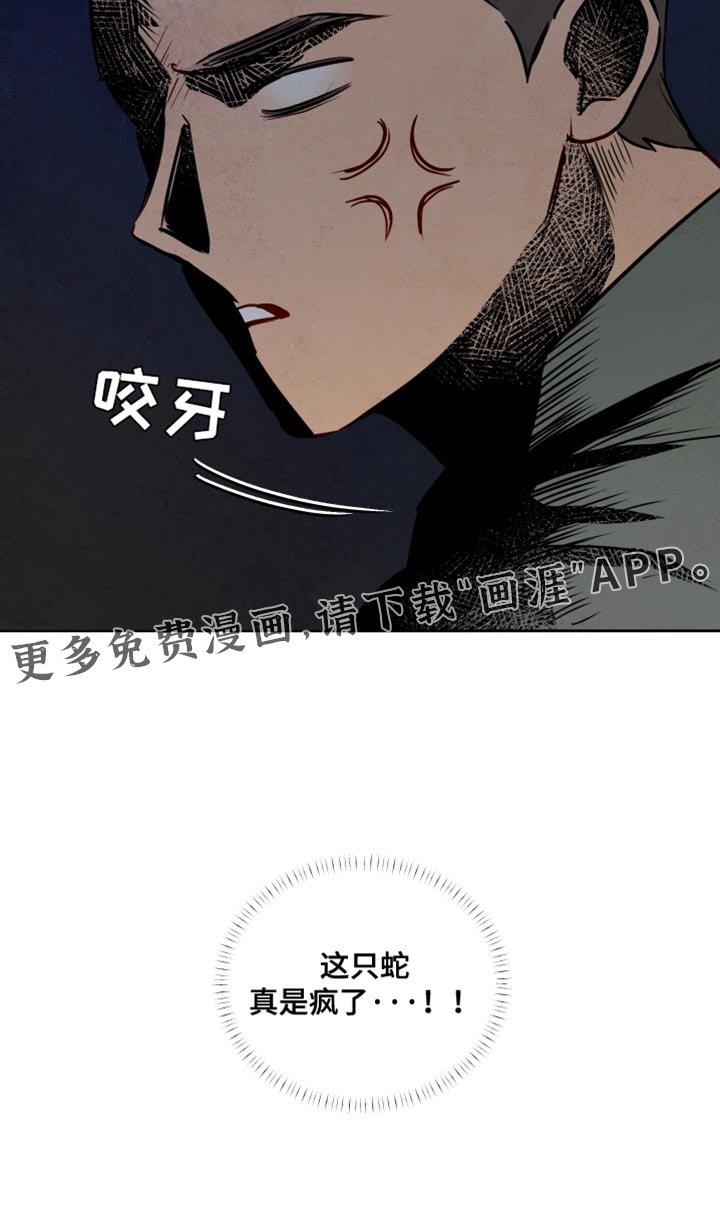 第26章：体温升高