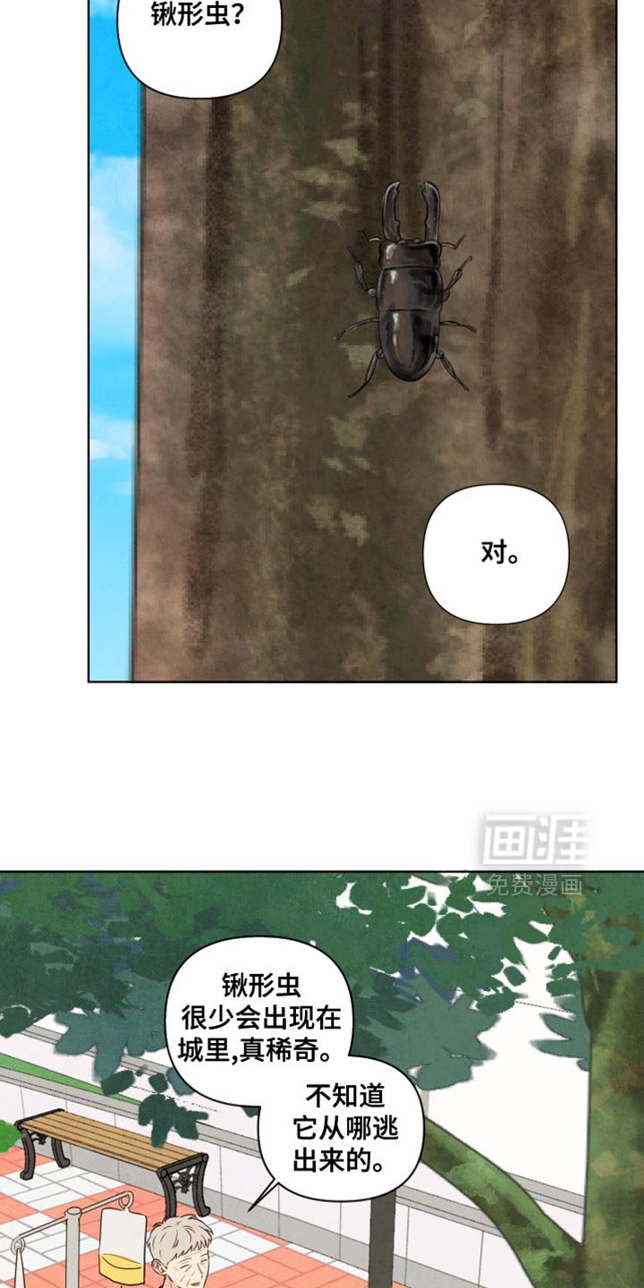 第29章：我抱着你！