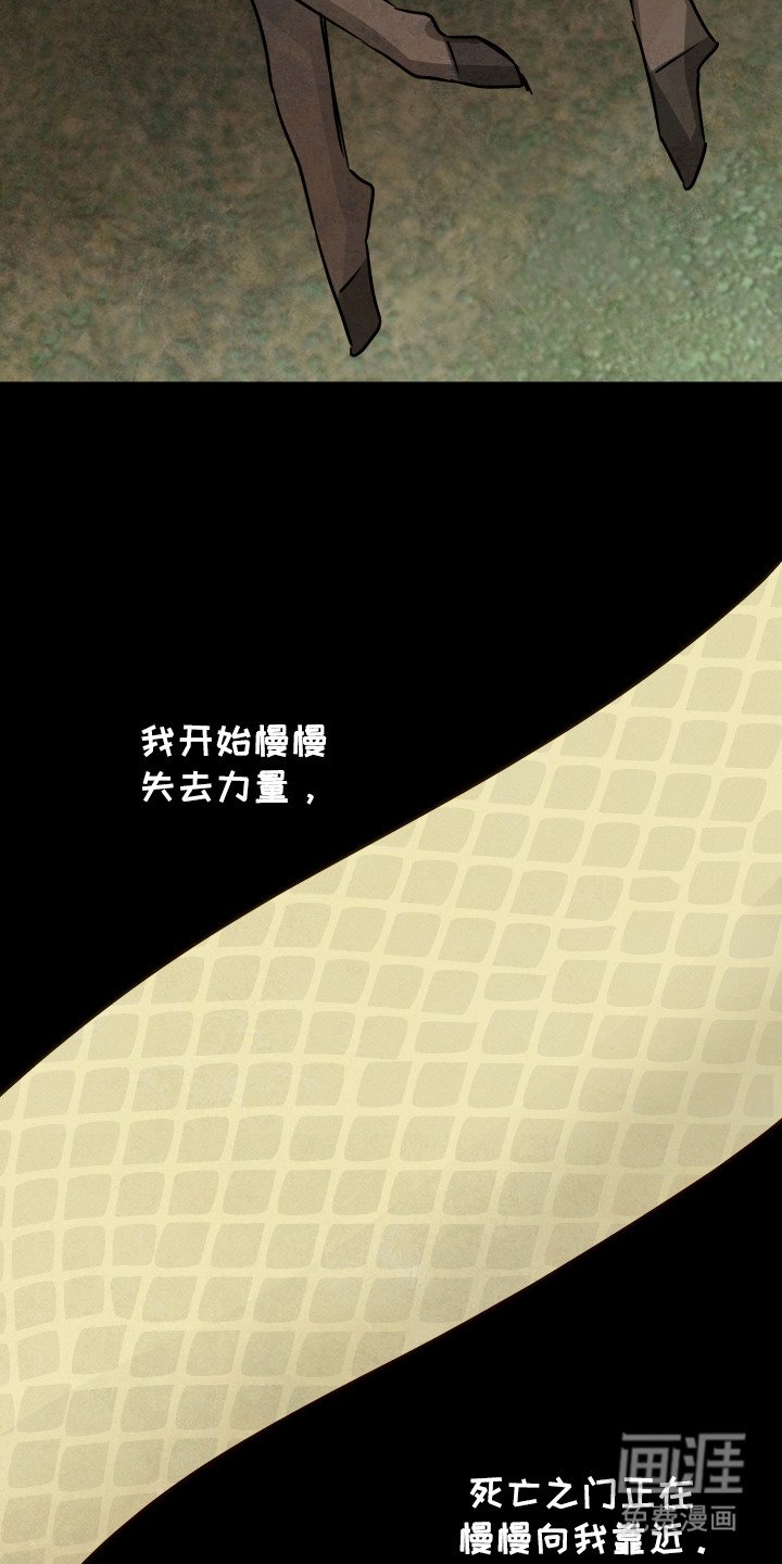 第3章：天意