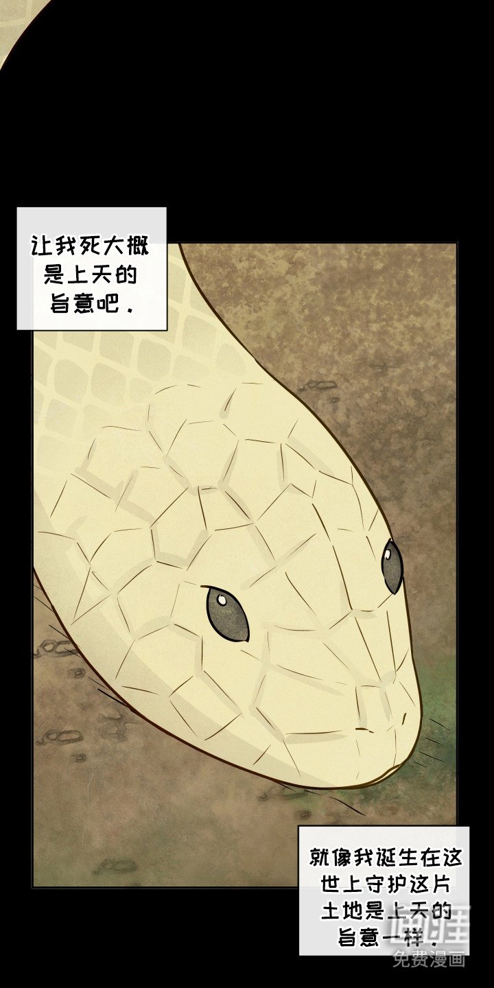 第3章：天意