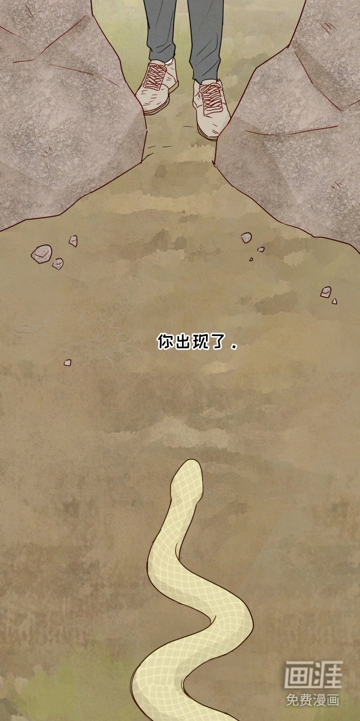 第3章：天意