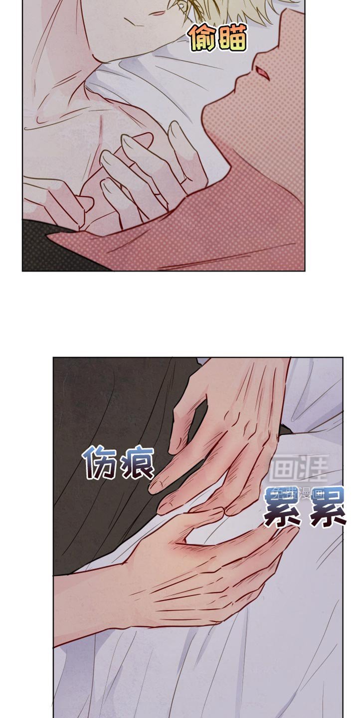 第30章：看不清